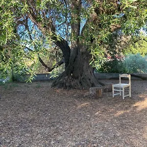 Casa Olea Casa vacanze